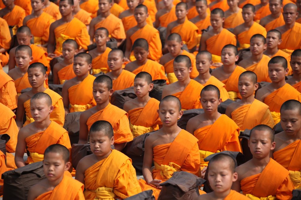 Buddhist monks and novices meditate