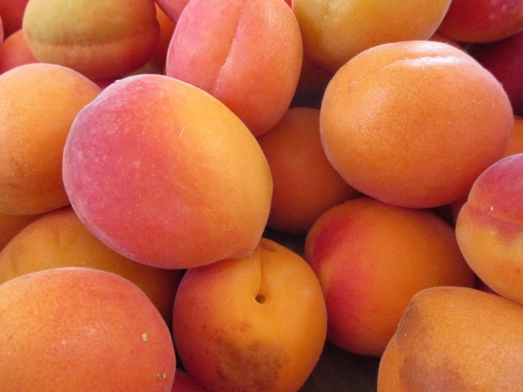 Apricots