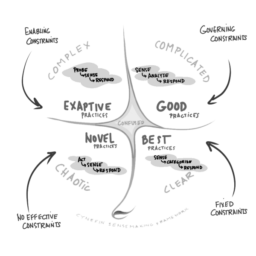 <span class="entry-title-primary">The Cynefin Framework</span> <span class="entry-subtitle">A conceptual framework to help make decisions</span>